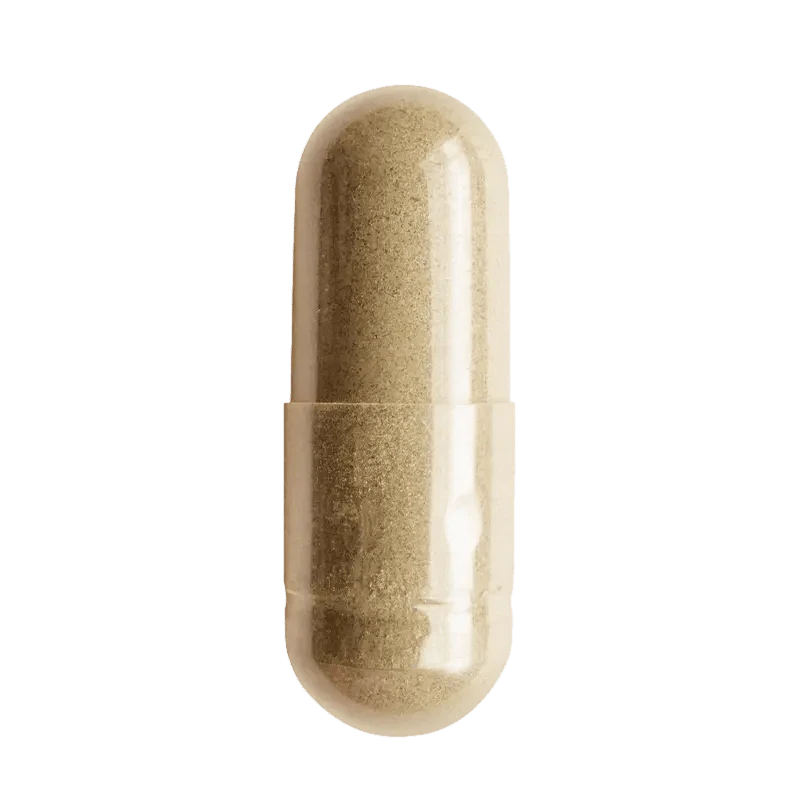 Candida/Fungal Bundle - Image 6