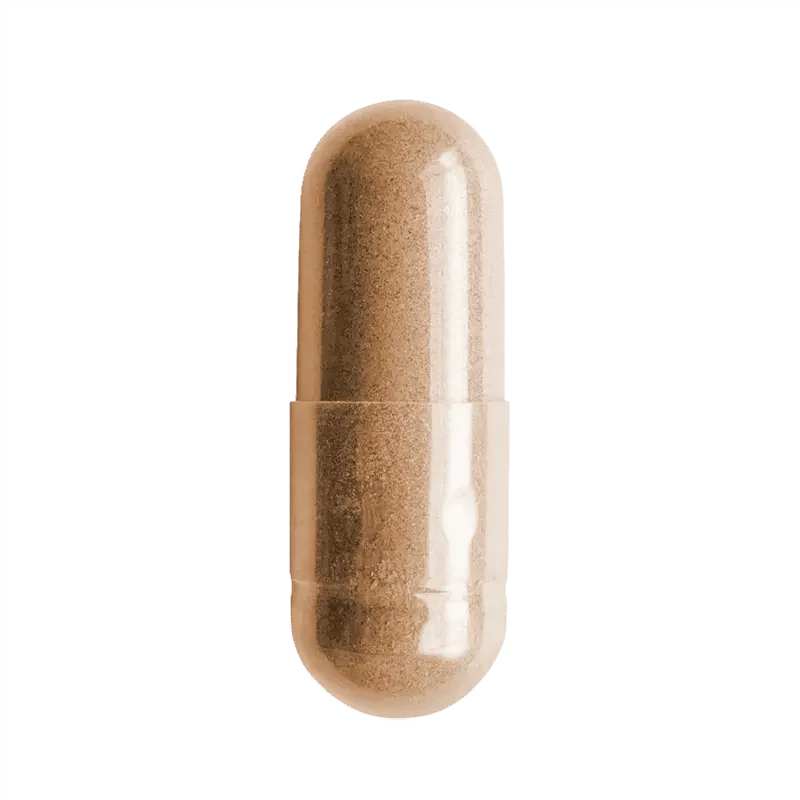 Prebiotic - Image 2