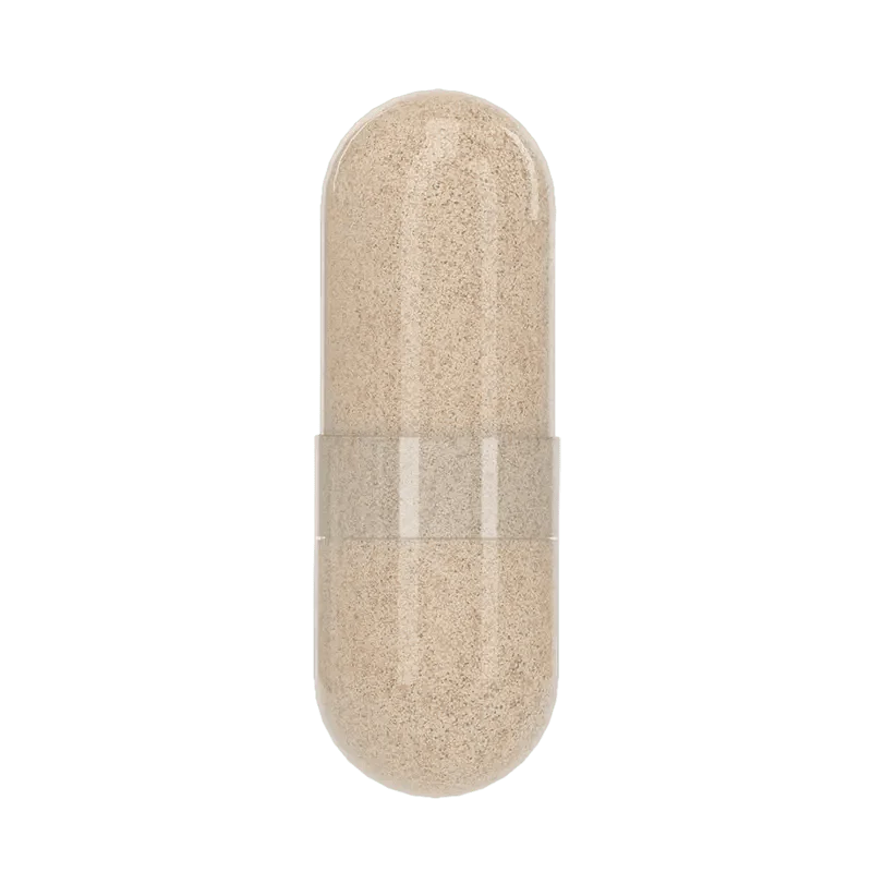 Probiotic - Image 5